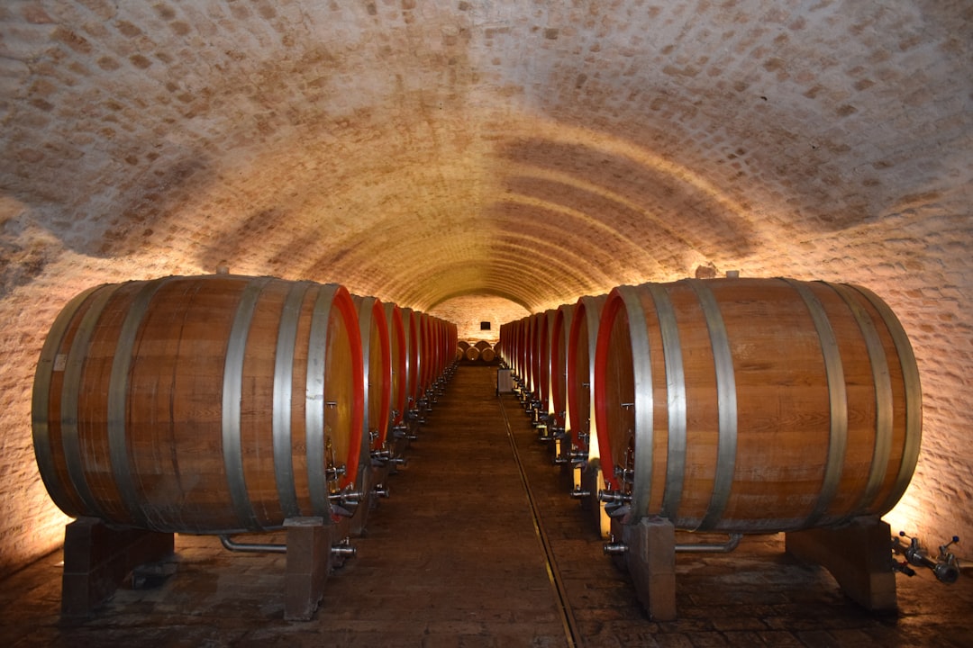 Bodega de barricas