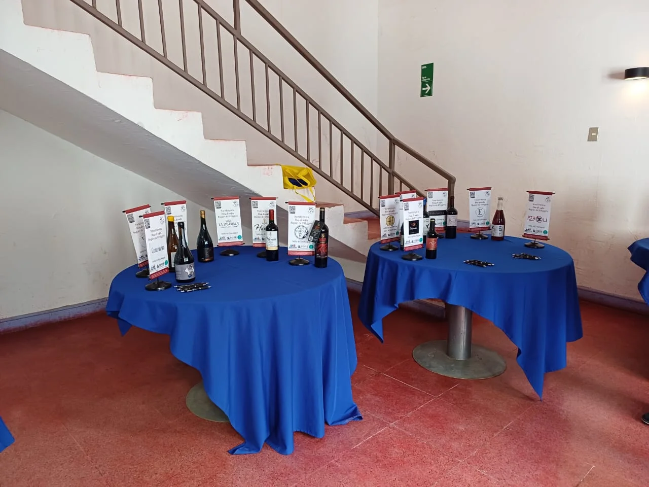Presentación Oficial - Imagen 22