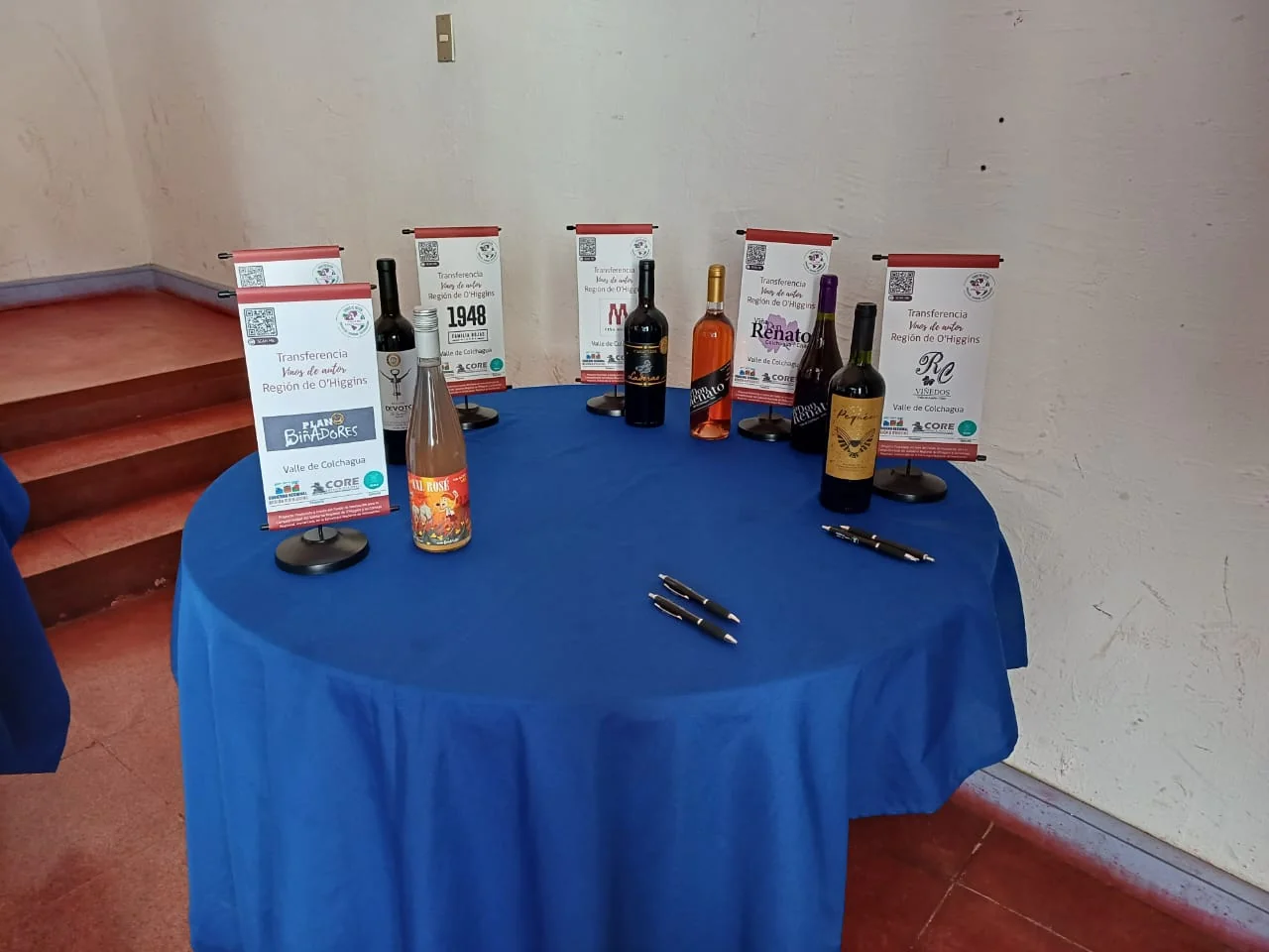 Presentación Oficial - Imagen 23