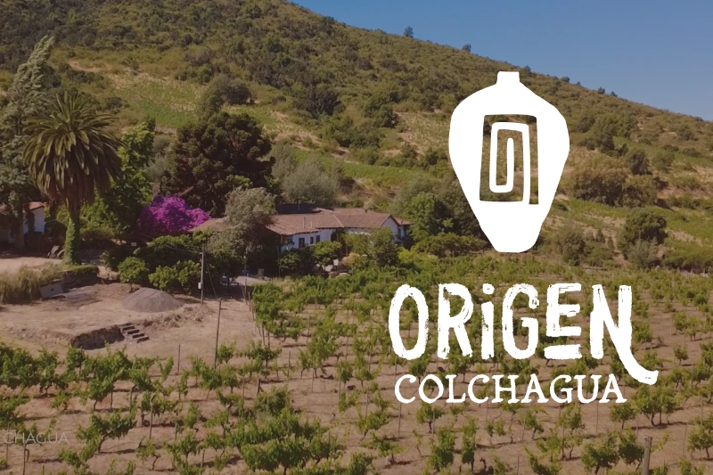 Video Corporativo