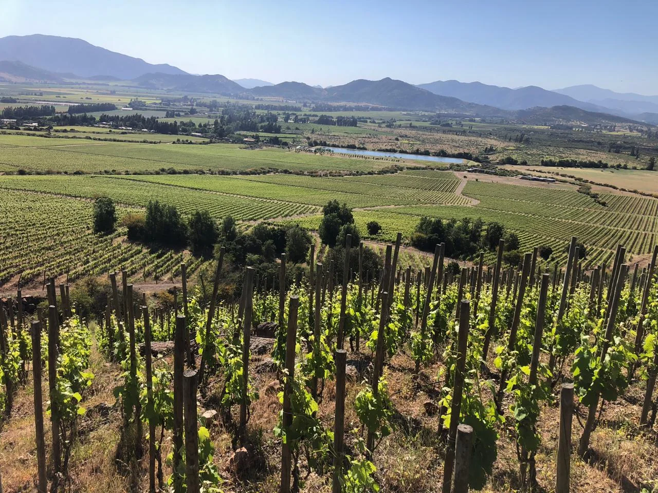 Viña Peroli - Vista 2 de esta viña en el Valle de Colchagua, Chile