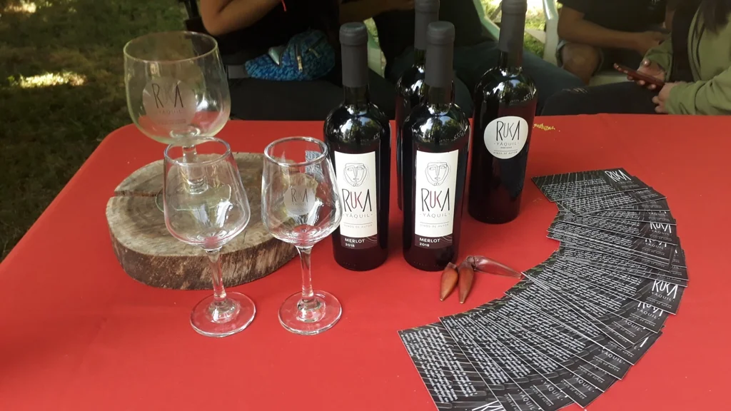 Ruka Yaquil - Vista 12 de esta viña en el Valle de Colchagua, Chile