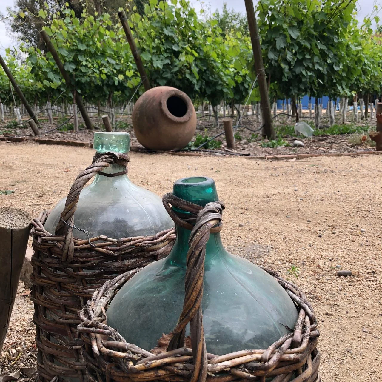 Vinos Lugarejo - Vista 3 de esta viña en el Valle de Colchagua, Chile